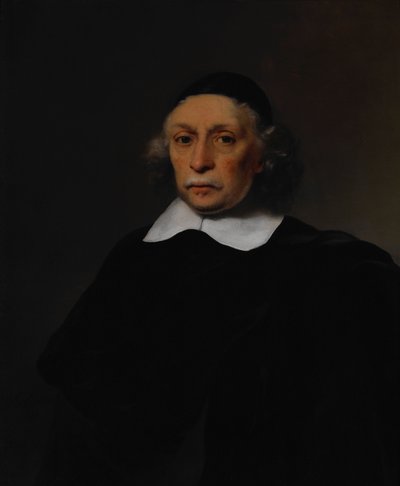 Portrait of a Scholar by Ferdinand Bol
